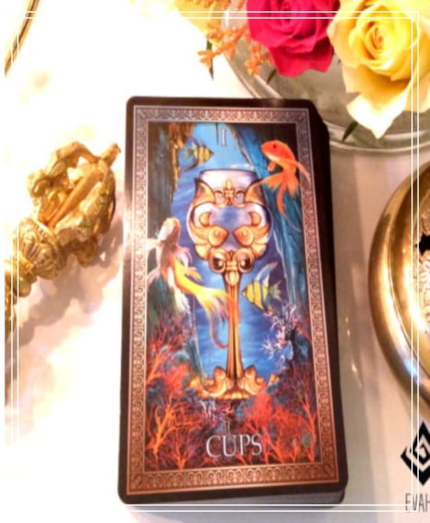 28. Wróżba, tarot, karty, bioenergoterapia, reiki, evahl, rytuał.jpg